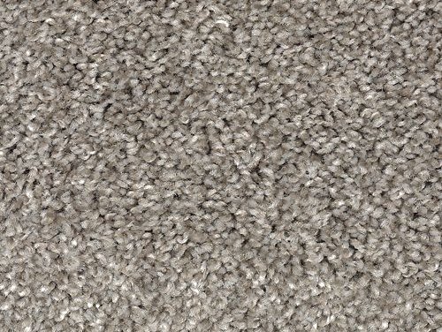 Featured pet friendly carpet products from Carpeting by Mike Inc.
